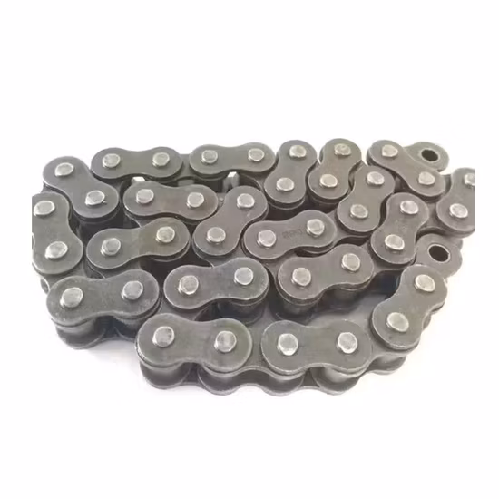 Transmission Industry Carbon Steel Stainless Steel Roller a B Series Heavy Conveyor Chain