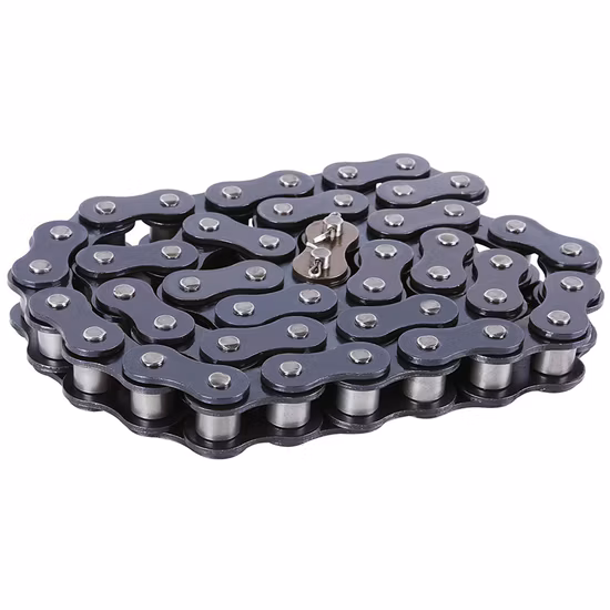 Transmission Industry Carbon Steel Stainless Steel Roller a B Series Heavy Conveyor Chain