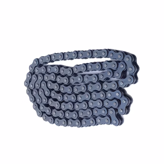 Transmission Industry Carbon Steel Stainless Steel Roller a B Series Heavy Conveyor Chain